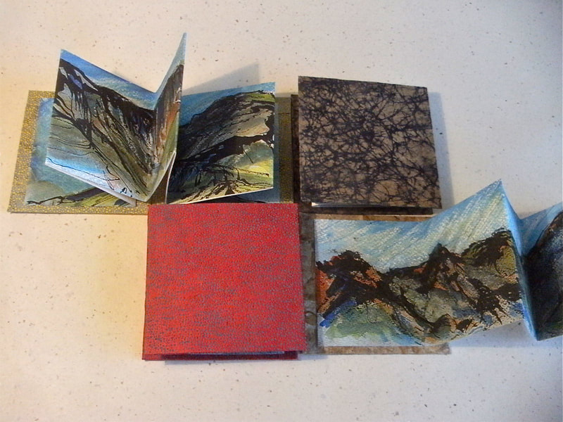 Group of Annie's handmade pocketbooks and concertina sketchbooks with her artwork inside